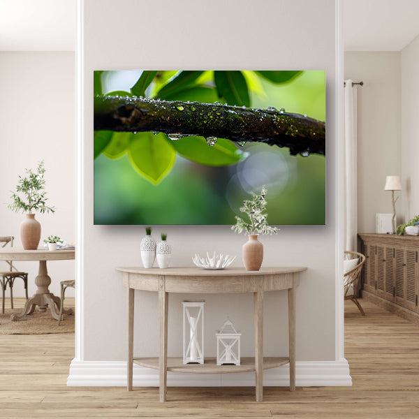 Natte tak met dauwdruppels in focus canvas