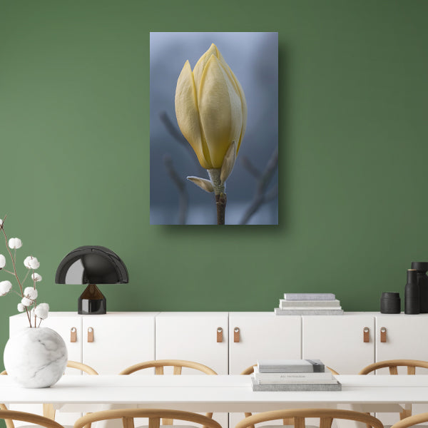Gele Magnolia Bloemknop in Close-up acrylglas