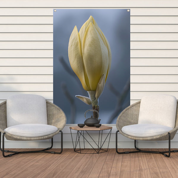 Gele Magnolia Bloemknop in Close-up tuinposter