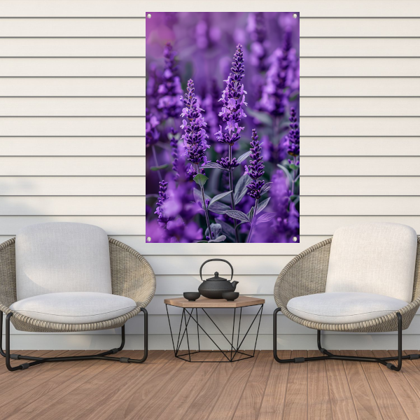 Close-up van paarse lavendel in bloei tuinposter