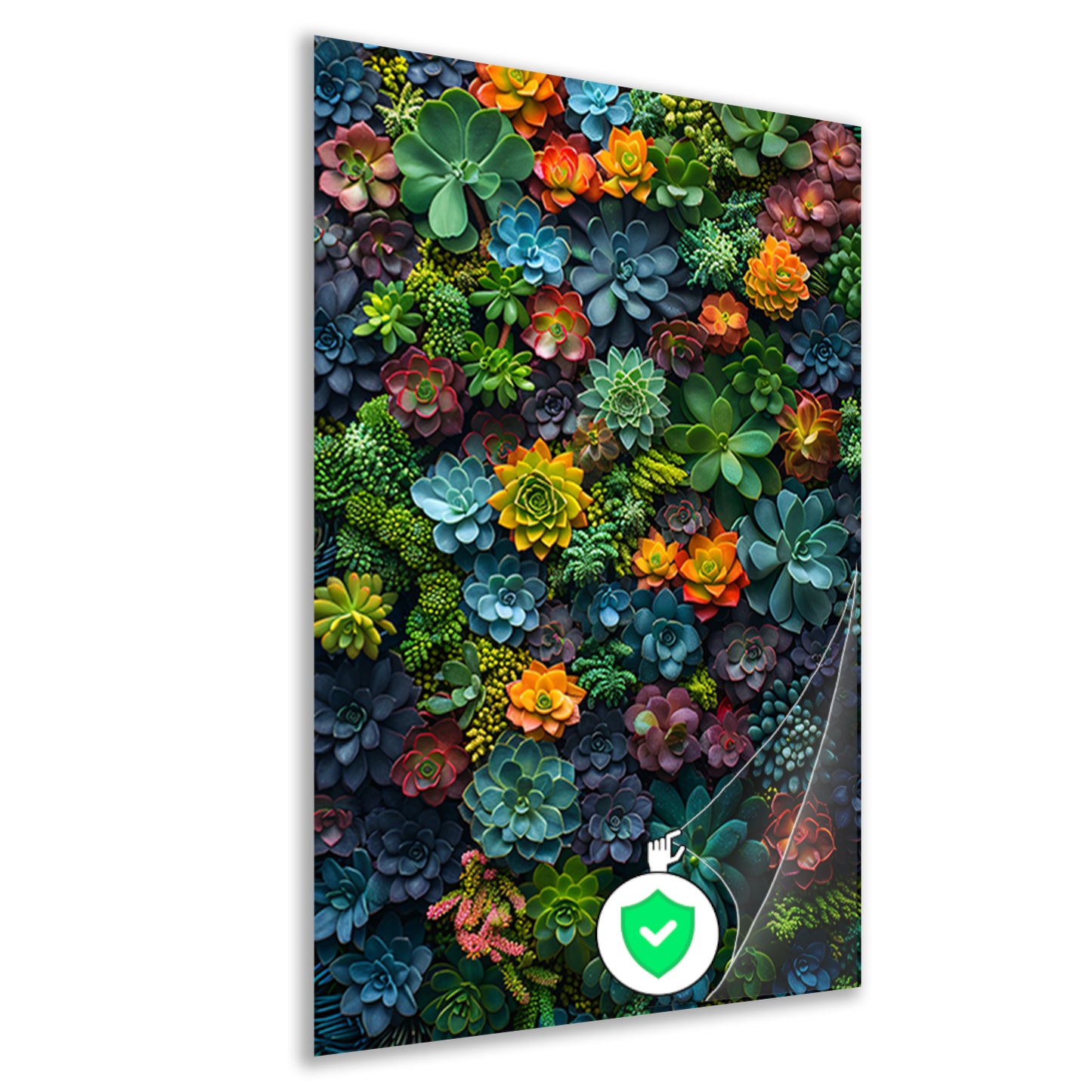 Levendige Vetplanten in Volle Bloei poster