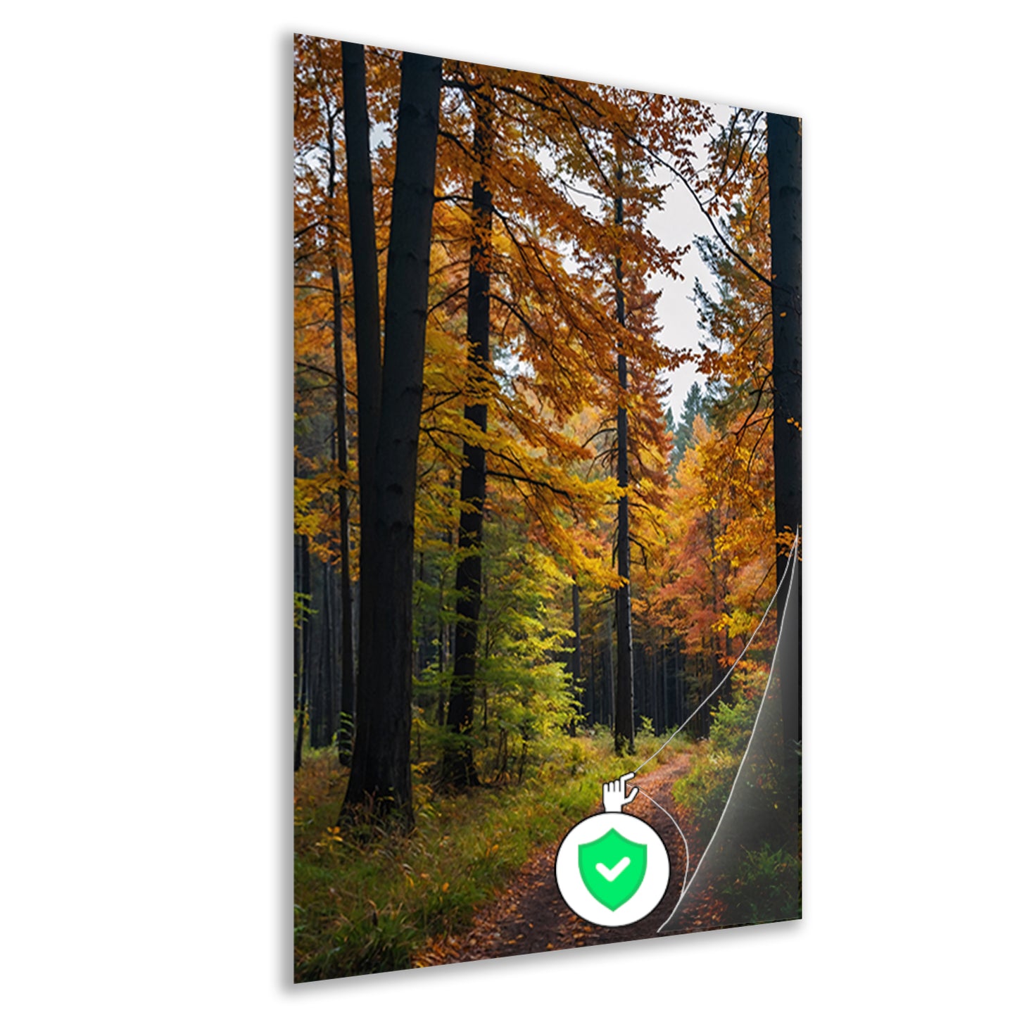 Betoverend herfstbos met kleurrijke bladeren poster