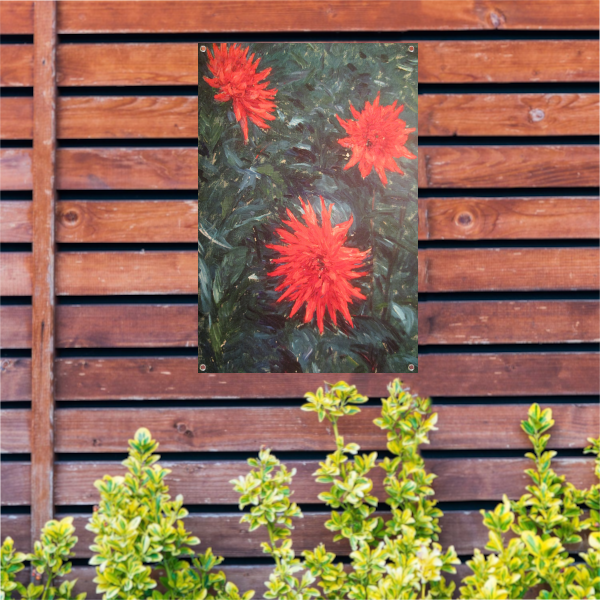 Rode cactusdahlias - Gustave Caillebotte tuinposter