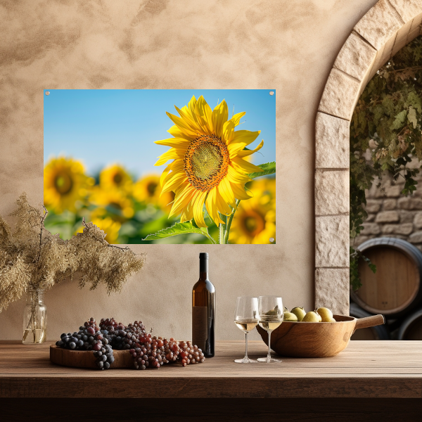 Levendige zonnebloemen in een bloeiend veld tuinposter