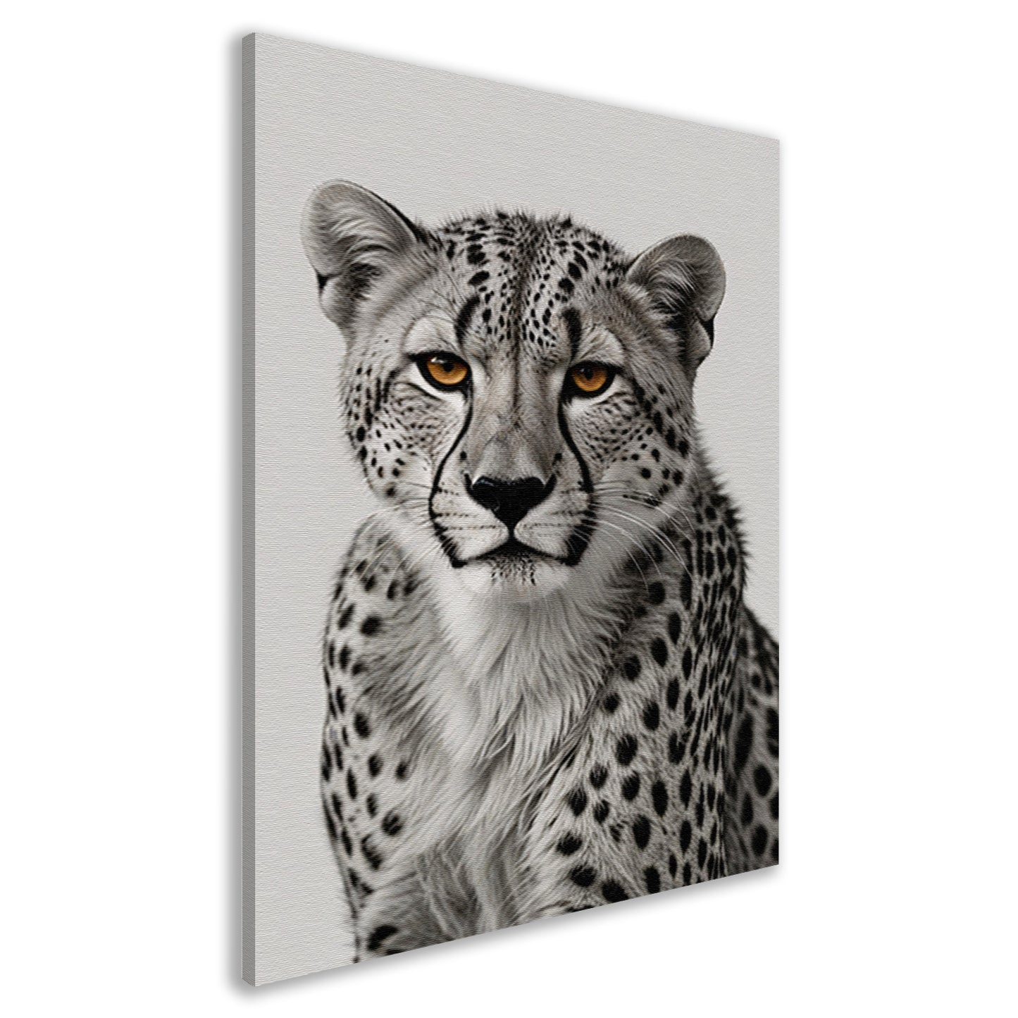 De doordringende blik van een cheeta canvas