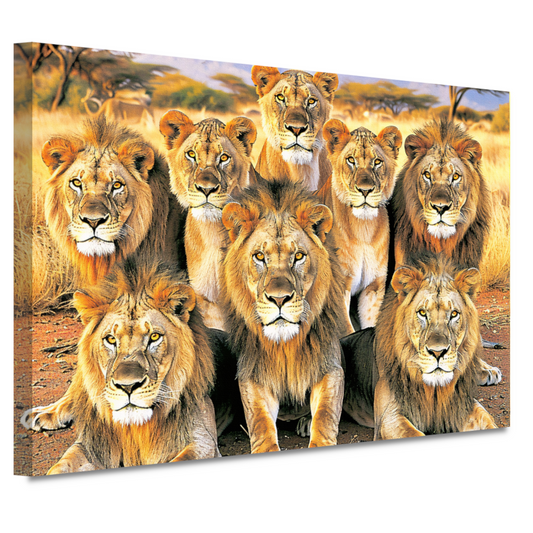 Leeuwen in Afrikaans Grasland canvas