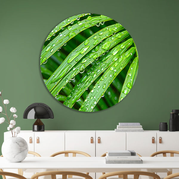 Groene bladeren met dauwdruppels in detail aluminium muurcirkel