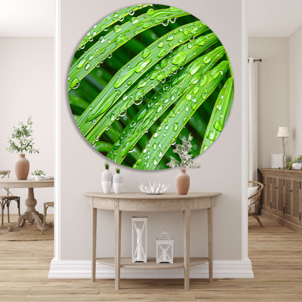 Groene bladeren met dauwdruppels in detail aluminium muurcirkel
