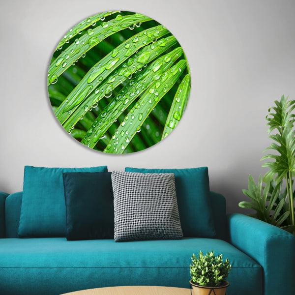 Groene bladeren met dauwdruppels in detail aluminium muurcirkel
