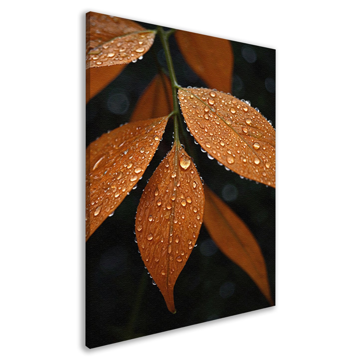 Dauwdruppels op Oranje Zomerbladeren canvas
