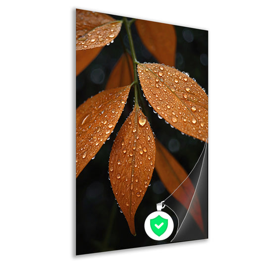 Dauwdruppels op Oranje Zomerbladeren poster