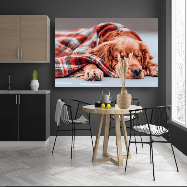 Hond rust onder plaid canvas met baklijst