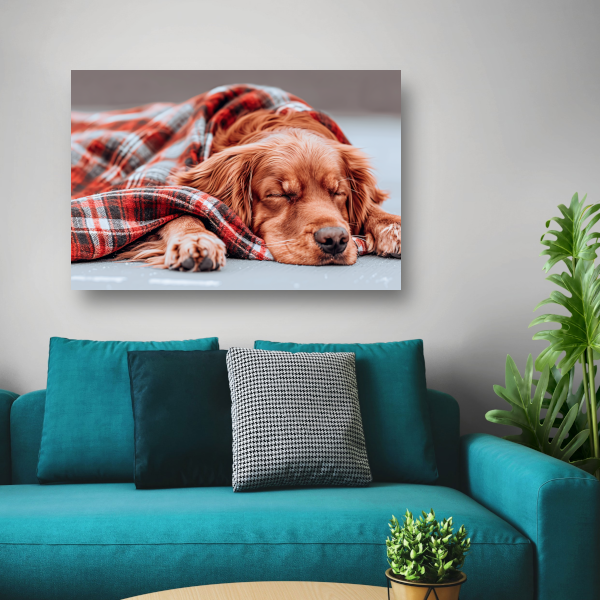 Hond rust onder plaid canvas met baklijst
