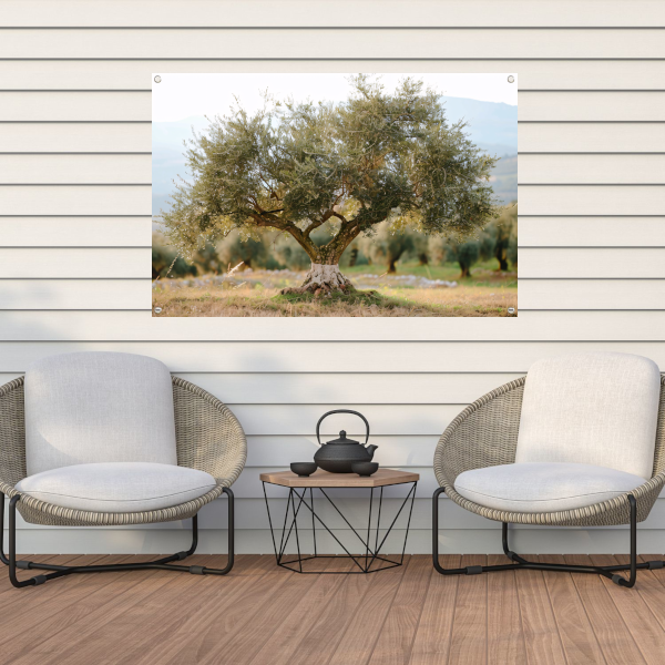 Olijfboom in Impressionistische Stijl tuinposter