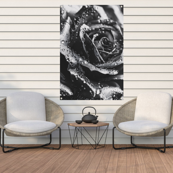 Zwart-witte roos met dauwdruppels close-up tuinposter