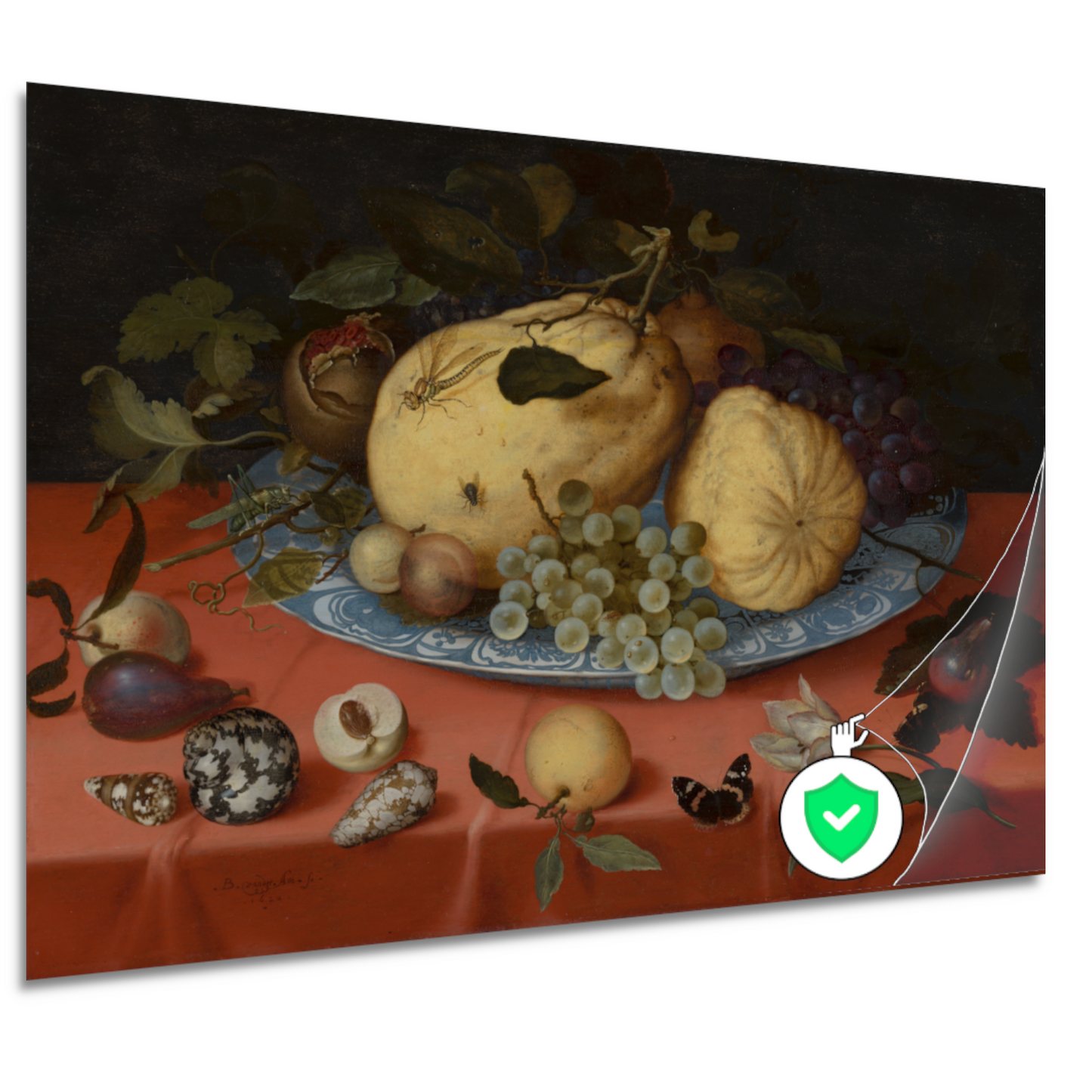 Fruitstilleven met schelpen en tulp - Balthasar van der Ast poster