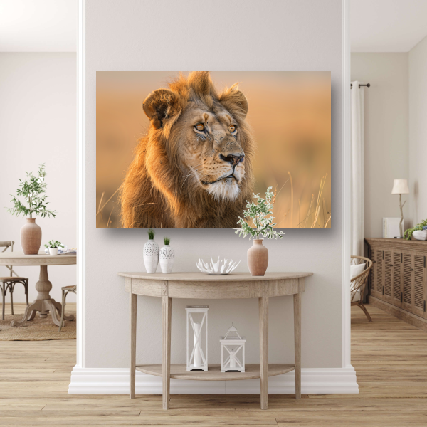 Majestueuze Leeuw in Gouden Avondlicht canvas