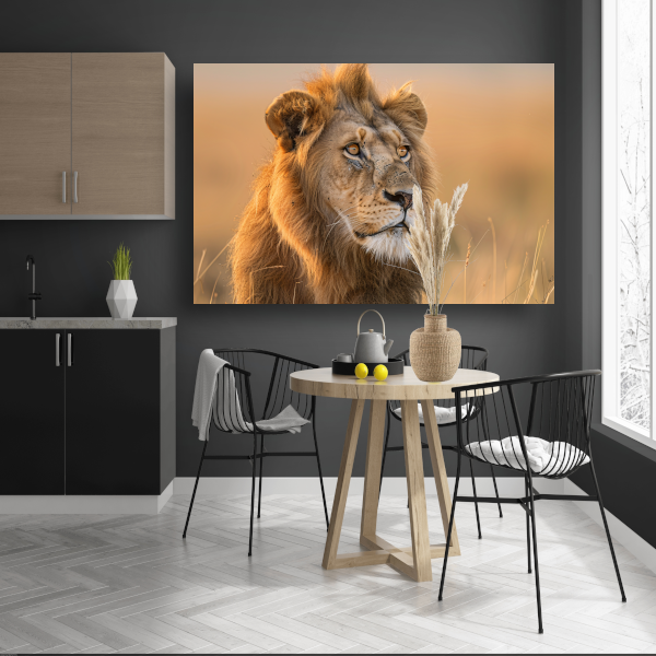 Majestueuze Leeuw in Gouden Avondlicht poster
