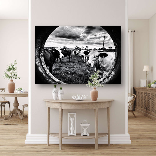 Nieuwsgierige koeien in zwart-wit weiland canvas