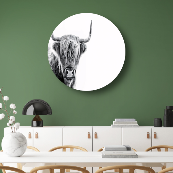 Majestueuze Schotse Hooglander in Hoog Contrast aluminium muurcirkel