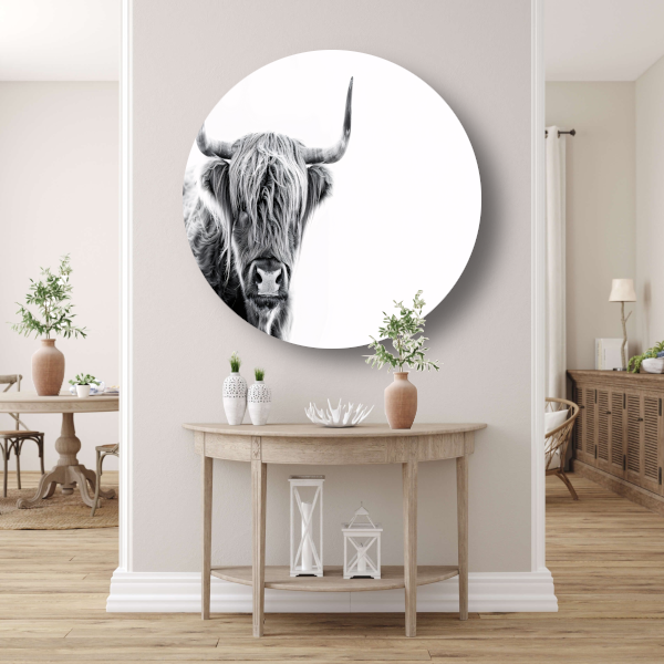 Majestueuze Schotse Hooglander in Hoog Contrast aluminium muurcirkel