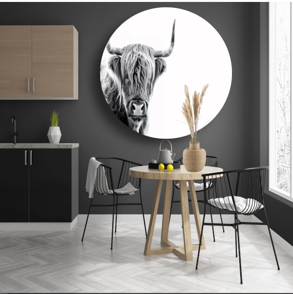 Majestueuze Schotse Hooglander in Hoog Contrast aluminium muurcirkel
