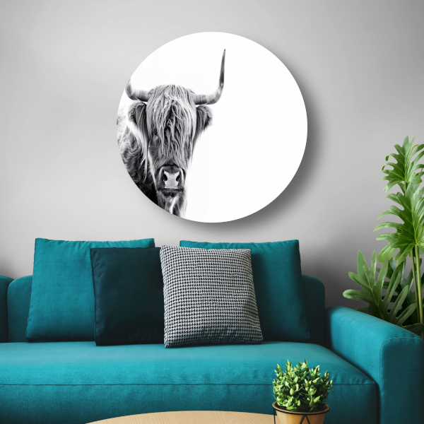 Majestueuze Schotse Hooglander in Hoog Contrast aluminium muurcirkel