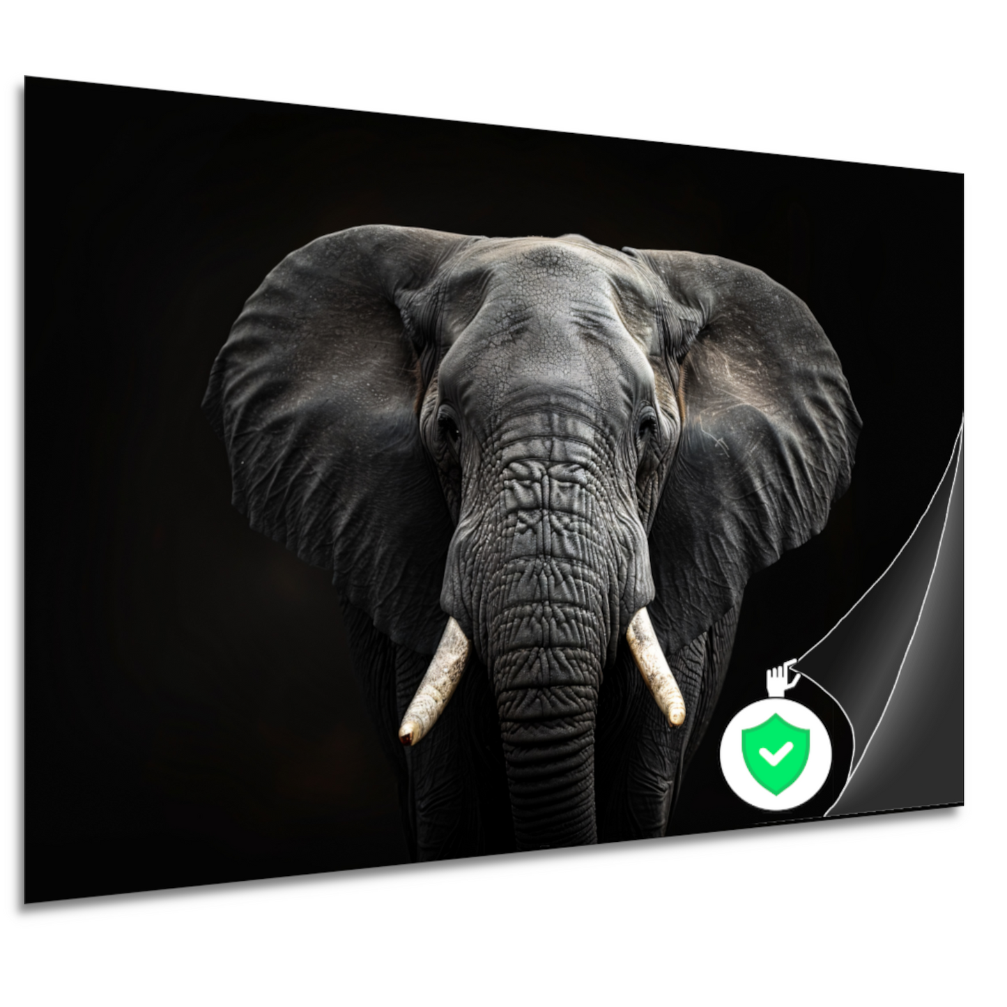 Portret van een Olifant in Zwart-Wit poster