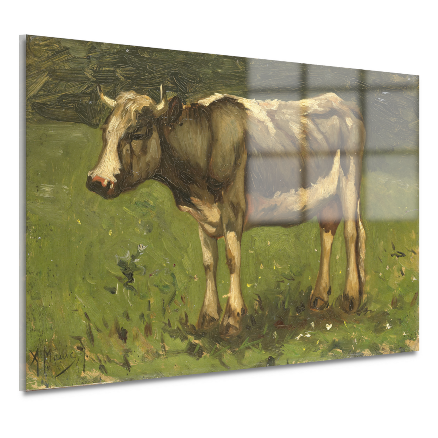 Koe - Anton Mauve acrylglas