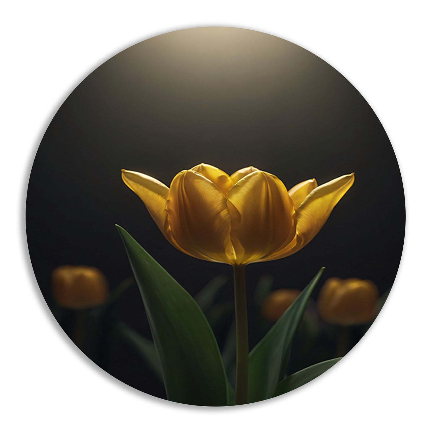Gloeiende gele tulp in het donker forex muurcirkel