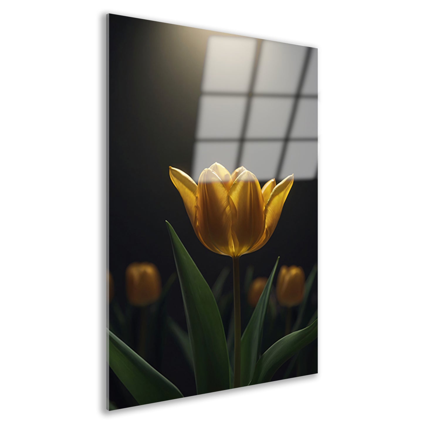 Gloeiende gele tulp in het donker acrylglas