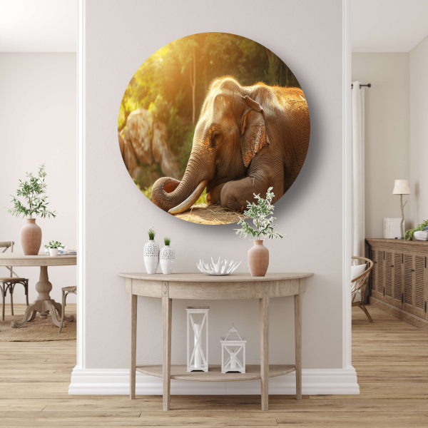 Rustende Olifant in het Gouden Zonlicht forex muurcirkel