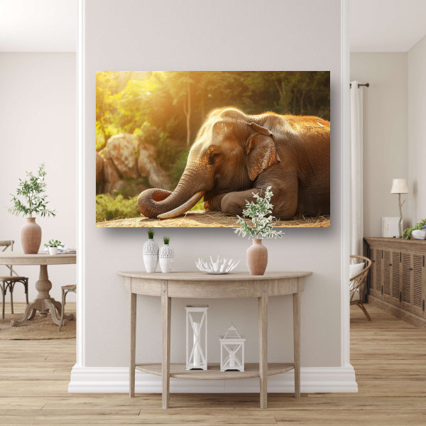 Rustende Olifant in het Gouden Zonlicht canvas