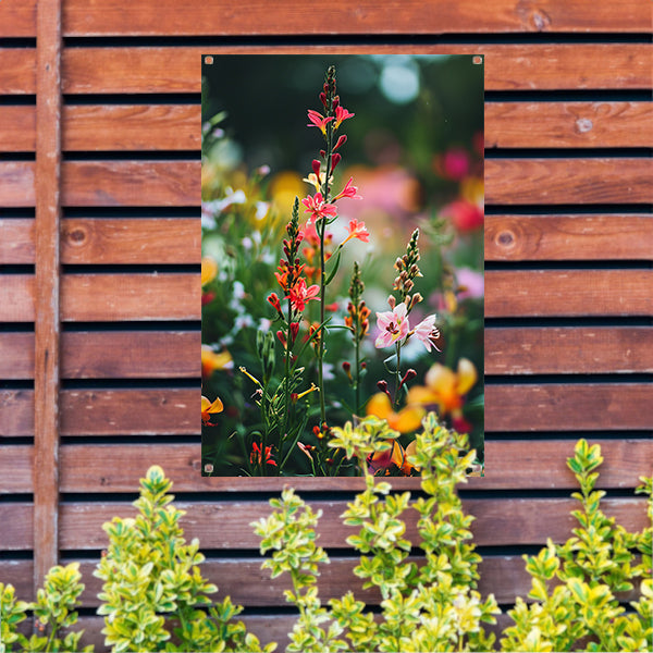 Kleurrijke Bloemenweide in Zomerlicht tuinposter