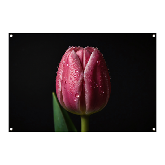 Roze Tulp met Dauw op Zwarte Achtergrond tuinposter