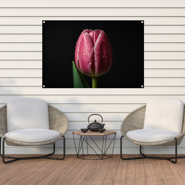 Roze Tulp met Dauw op Zwarte Achtergrond tuinposter