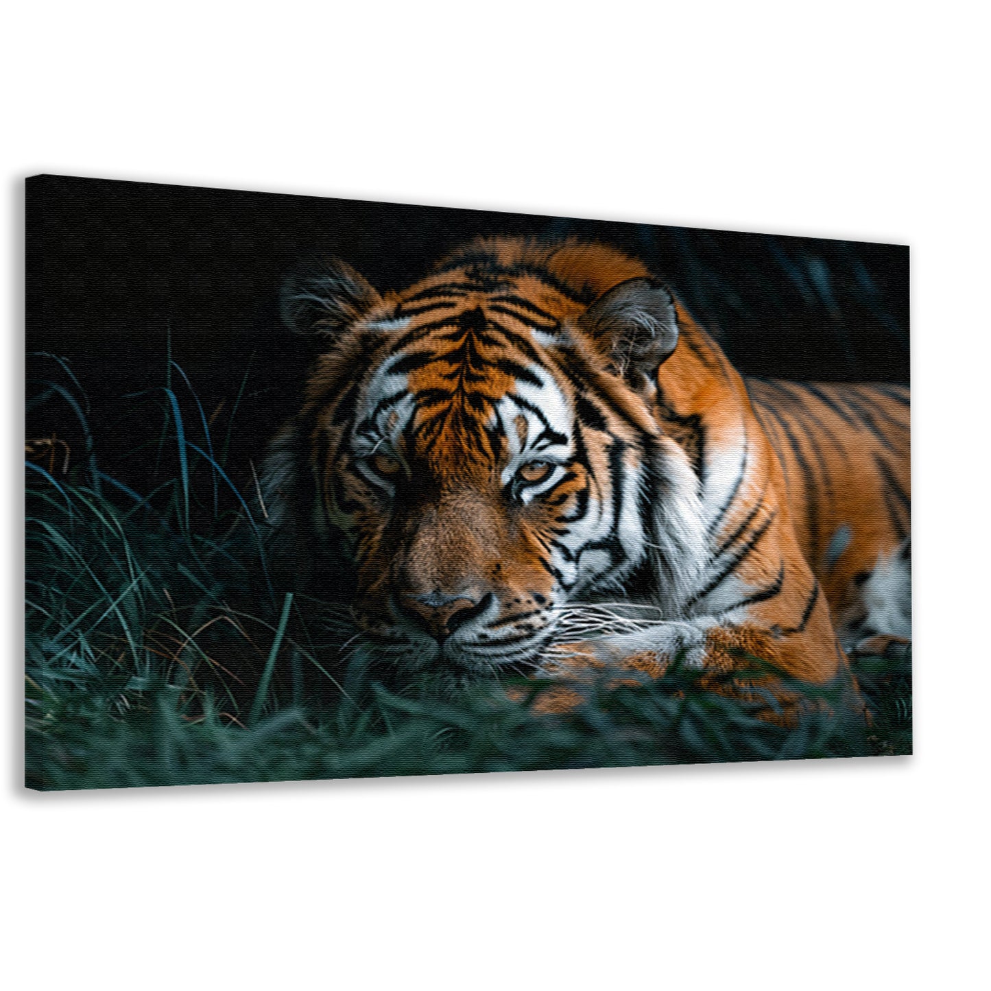 Majestueuze tijger in natuurlijke omgeving canvas