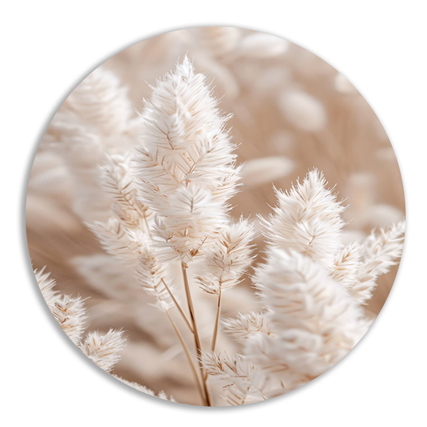 Close-up van Beige Aar Pluimen forex muurcirkel