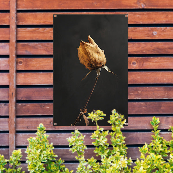 Verwelkte Roos in Monochrome Stilte tuinposter
