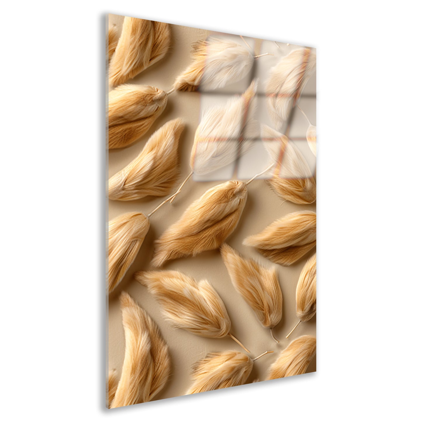 Abstracte Veren in Beige acrylglas