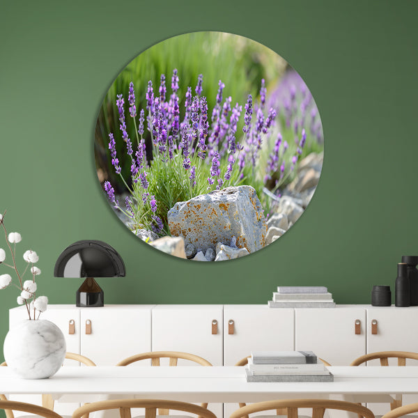 Lavendelbloemen in bloei naast grijsbruine rotsen aluminium muurcirkel