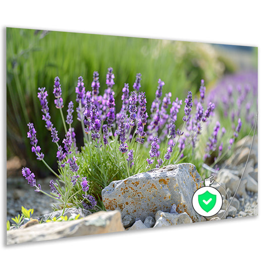 Lavendelbloemen in bloei naast grijsbruine rotsen poster