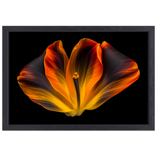 Close-up van een tulp in bloei canvas met baklijst