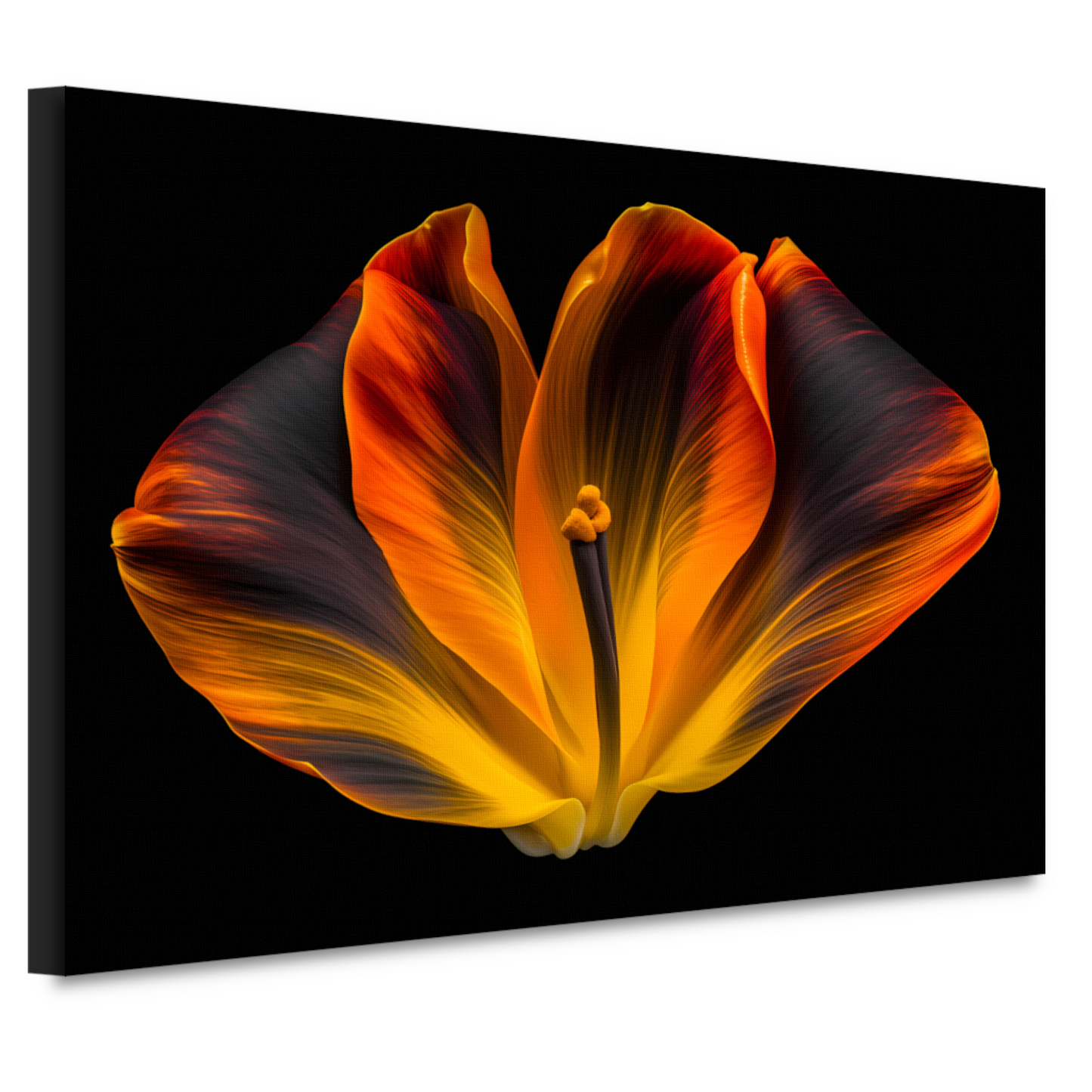 Close-up van een tulp in bloei canvas