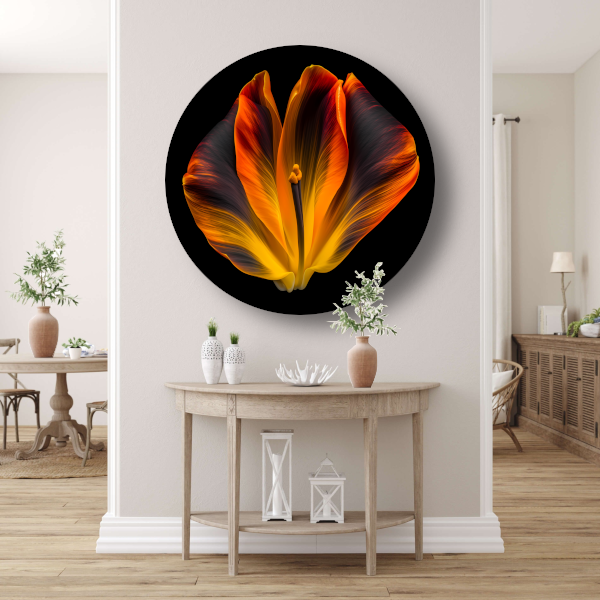 Close-up van een tulp in bloei aluminium muurcirkel