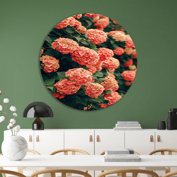 Bloeiende Roze Hortensia in Volle Glorie aluminium muurcirkel