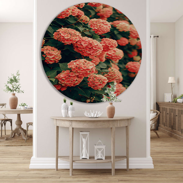 Bloeiende Roze Hortensia in Volle Glorie aluminium muurcirkel