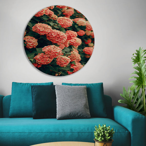 Bloeiende Roze Hortensia in Volle Glorie aluminium muurcirkel