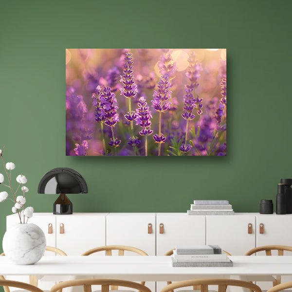 Betoverende zonsondergang over een lavendelveld canvas