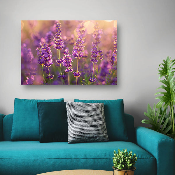 Betoverende zonsondergang over een lavendelveld canvas